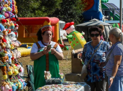 Пенсионеры Волгоградской области перешли на цифровое общение