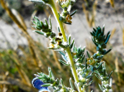 В Камышинском районе пьяный водитель опрокинул автомобиль и отправился к хирургам