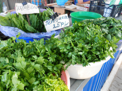 Для камышан подорожала вермишель, но подешевел «борщевой набор»