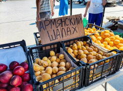 Камышанам предлагают купить шалах - что это такое?