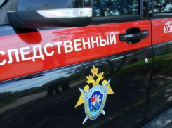В Волгограде возбуждено уголовное дело по факту обнаружения останков человека