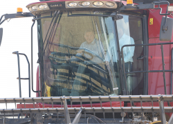 Губернатор Андрей Бочаров в поле обсудил первые итоги уборочной кампании и сел за руль комбайна