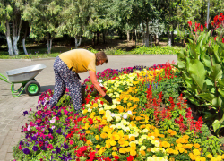 Погода в Камышине 8 сентября: столбики термометров ползут вверх