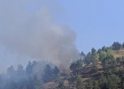 Под Камышином у села Торповка горит лес