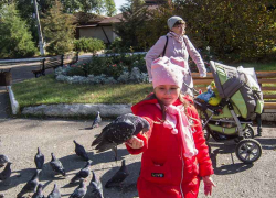 "Блокнот Камышина" искренне благодарит всех участников фотоконкурса "Детки-конфетки" за поток снимков и досрочно прекращает их прием