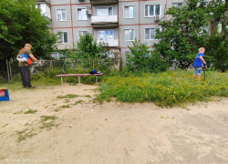 В Камышине "протиратели штанов" проспали июнь: отец и сын спасли детскую площадку от сорных зарослей