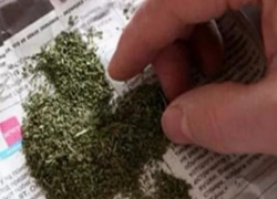 В Камышине полицейские задержали подозреваемого в сбыте марихуаны