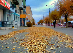 Дворники Камышина, пора подметать город, листопад одолел, - камышанка
