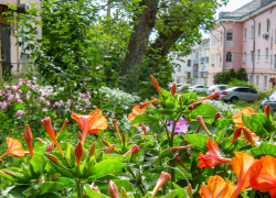 Где в Камышине на завтра, 28 августа, и ночь 29 августа вновь намечены отключения электричества