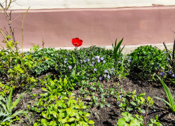 Погодный сервис "ни с того, ни с сего" предупредил камышан о грозе сегодня, 22 апреля, в 18.00