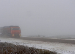 Вчера половина серьезных аварий в Волгоградской области произошла в Камышинском районе: участники ДТП "сносили" людей и деревья