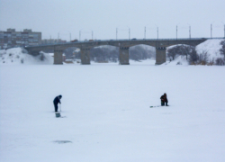 Солнце и мороз крепче 20-ти градусов: погода в Камышине 18 января