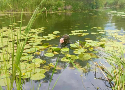 Тело пропавшего 25-летнего парня нашли в водоеме в Волгоградской области