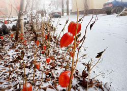 МЧС предупредило жителей Волгоградской области, что на подходе снежный ураган 