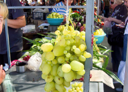 Томатный, виноградный и горчичный — Волгоградская область предлагает фестивали на любой вкус