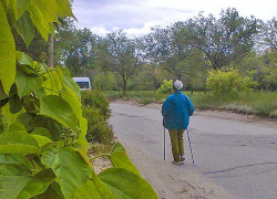 Мошенники предлагают пересчитать пенсию из-за неучтенного стажа работы