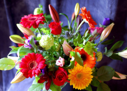  34-летний мачо изнасиловал женщину за отказ принять от него букет, - «Блокнот Волгограда» 