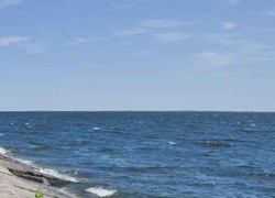 В Камышине водолазы ищут тело утонувшего Сергея Галкина