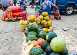 В Камышине тыква по цене почти вдвое обогнала арбузы, не отстает по дороговизне и капуста 