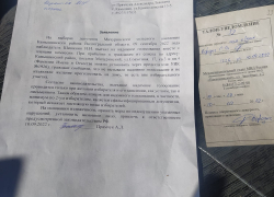 На выборах депутатов Мичуринского сельского поселения Камышинского района переносная урна "пошла" туда, куда ее никто не вызывал?