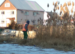 В Камышине продолжается зимний покос зарослей камыша