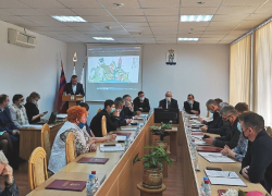 В Камышинской городской думе, по данным деклараций за 2020 год, половина депутатов оказались миллионерами