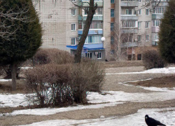 Какие многоэтажки камышинские энергетики просят посидеть без света в предпраздничный день