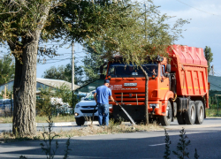 В Камышине к концу лета организовали, наконец, регулярный полив деревьев
