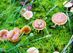 Вторник 18 ноября приходит к камышанам теплым, но с сильным ветром и слабым дождем: погодный прогноз на сегодня