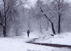 Камышан предупредили о метели
