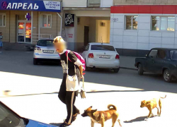 Уличный пес изгрыз лицо 3-летнему мальчику - в ответ появились мнения уничтожить всех бродячих собак
