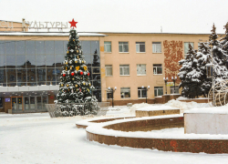 В Камышине городские елки оказались долгожителями