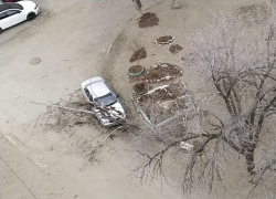 Дерево от ветра упало на "Приору" - вот тебе и новогодний "подарок"