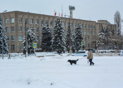 Зарплаты административного персонала по динамике роста победили всех в Волгоградской области