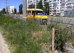 Товарищи из администрации, не пора ли выйти с косами на центральные улицы как бы города? - камышанка