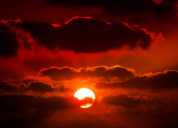 Камышанин колол ножом собутыльника, пока не заколол насмерть