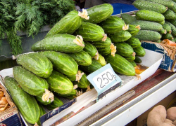 Кто-нибудь проверяет овощи на камышинских рынках на нитраты? - камышанка