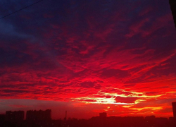 В Камышине в 11 квартале прохожие обнаружили окоченевшего мужчину, который умер в больнице, не приходя в сознание