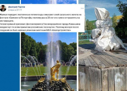 Неизвестный камышанам депутат Госдумы посмеялся над камышинским фонтаном- "мумией" на Каштановой аллее