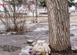 Не планируют ли торговцы с рынка у "Победы" выйти на субботник в загаженную "сосновую рощу" рядом? - камышанка