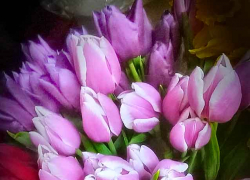 Весенний день с температурой +6 наступил в Камышине