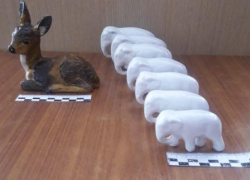 Оперативники повязали похитителя слоников и олененка