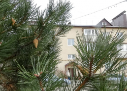 В каких домах Камышина отключат электричество 26 февраля