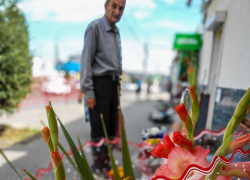 Администрация Камышина дает понять горожанам, что им лучше отказаться от SMS-рассылок - сделать это несложно