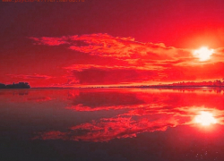 Странная смерть в глубинке: селянин сам себя "разрубил" топором