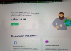 В администрации Камышинского муниципального района "рухнул" официальный сайт