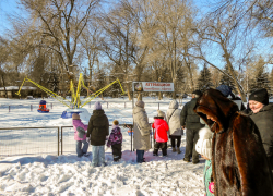 В Камышине ищут дом любознательному 6-летнему мальчику-сироте