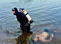 Тело 30-летнего купальщика достали со дна в Волгоградской области