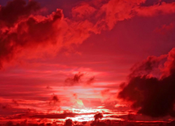 Окровавленный труп нашли в квартире на улице Королева в Камышине