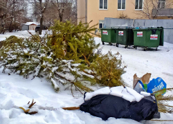 "Управление отходами - Волгоград": отсутствие договора не освобождает от ответственности